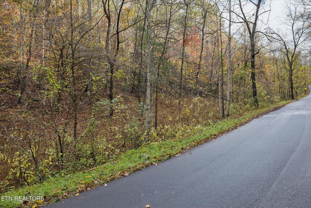 Photo of TBD Evans Chapel Rd, Sevierville, TN 37876 (MLS # 1322587)