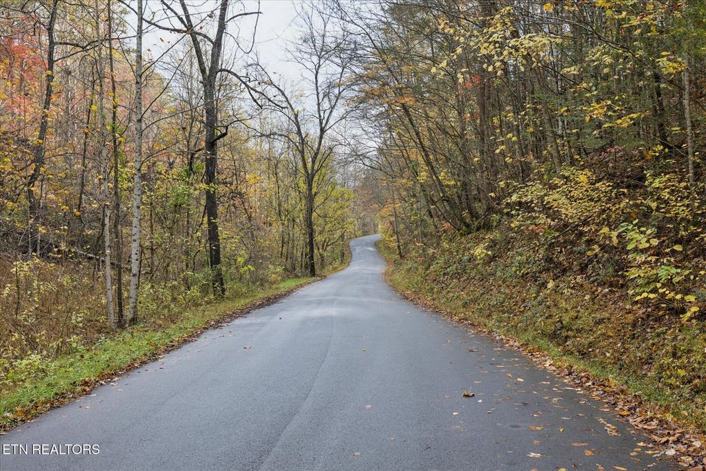 Photo of TBD Evans Chapel Rd, Sevierville, TN 37876 (MLS # 1322587)