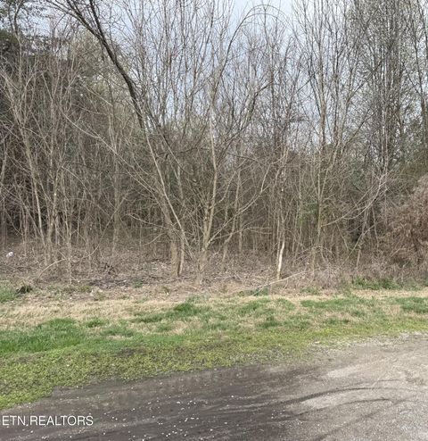Photo of 106 Raintree Lane #Lot 17, Kingston, TN 37763 (MLS # 1332649)