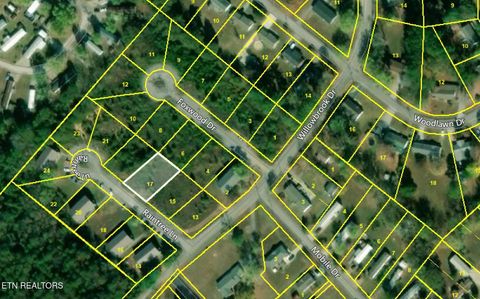 Tiny photo for 106 Raintree Lane #Lot 17, Kingston, TN 37763 (MLS # 1332649)