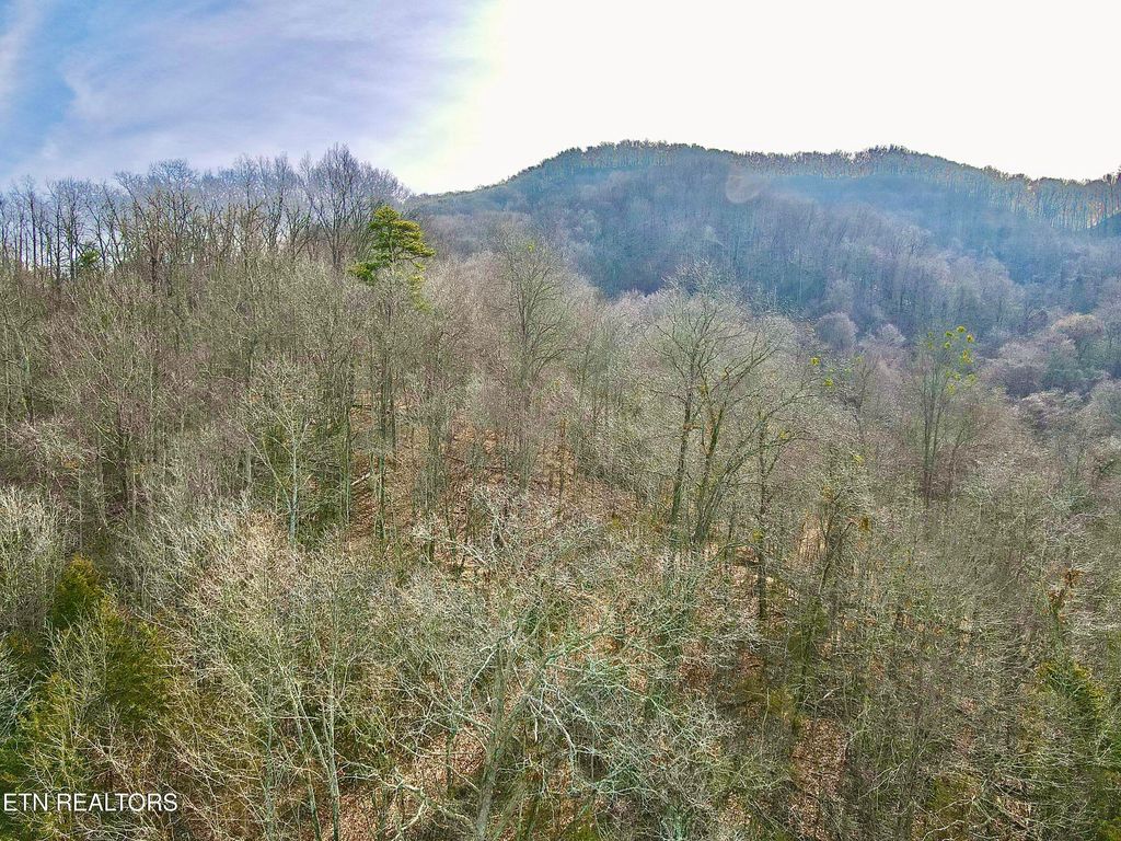 Photo of TBD Rufus Coffey Lane, Thorn Hill, TN 37881 (MLS # 1327205)