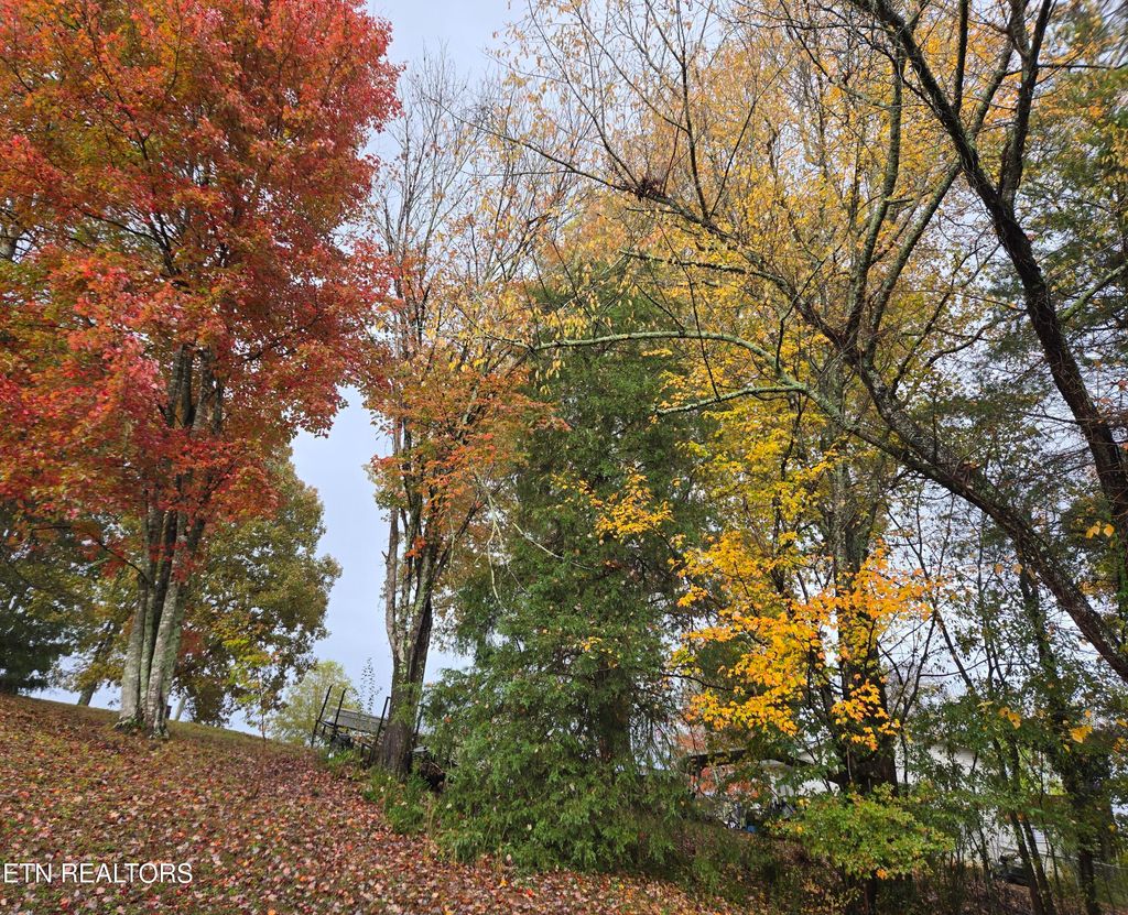 Photo of 200 Sunset Lane, Harriman, TN 37748 (MLS # 1323271)