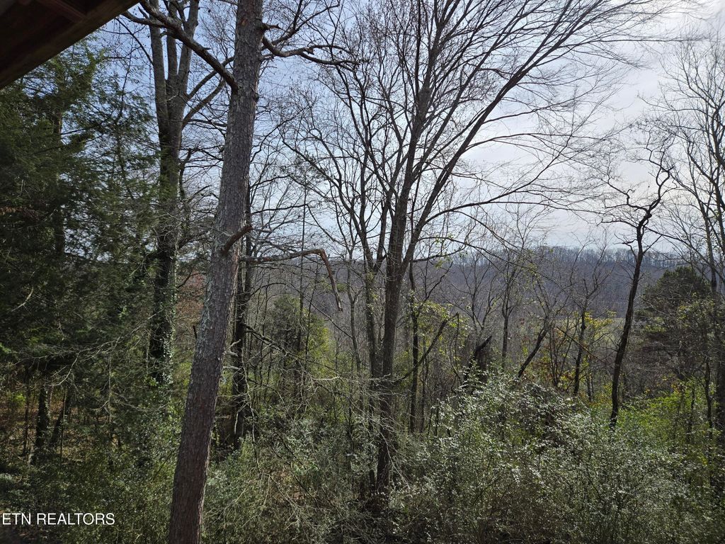 Photo of 200 Sunset Lane, Harriman, TN 37748 (MLS # 1323271)