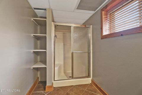 Tiny photo for 587 Flat Fork Rd, Wartburg, TN 37887 (MLS # 1326366)