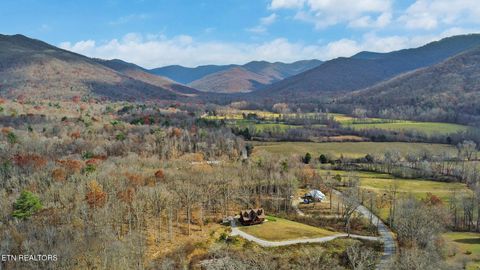 Tiny photo for 587 Flat Fork Rd, Wartburg, TN 37887 (MLS # 1326366)
