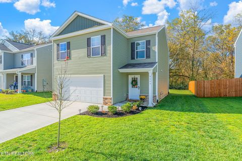 9445 River Cane Rd Mascot TN 37806