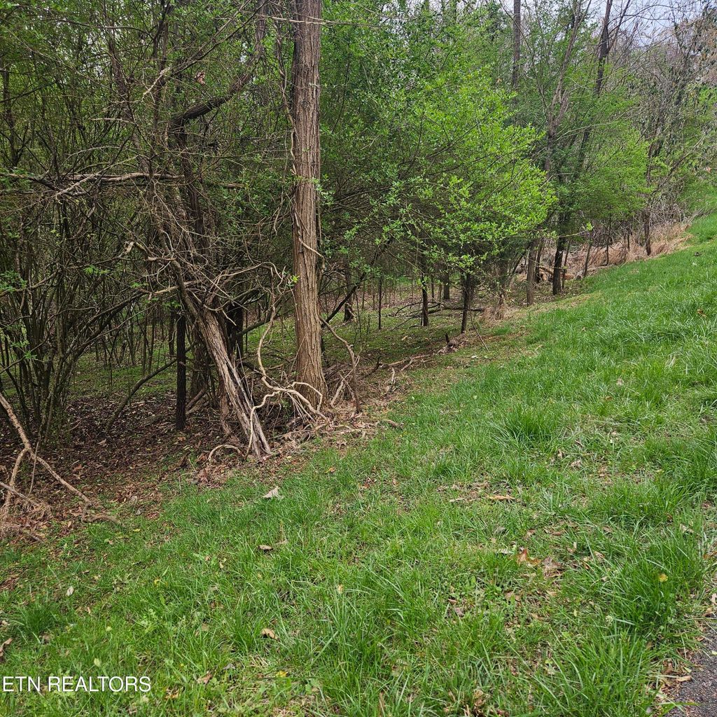 Photo of 1919 Chelaque Way, Mooresburg, TN 37811 (MLS # 1338615)