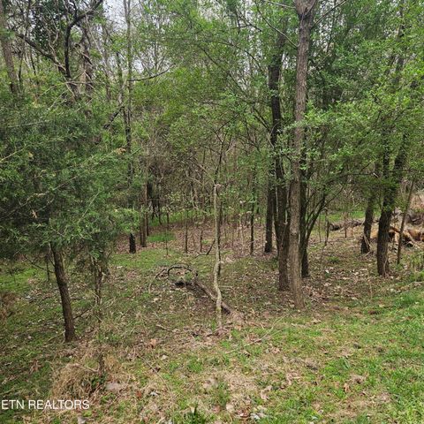 Tiny photo for 1919 Chelaque Way, Mooresburg, TN 37811 (MLS # 1338615)