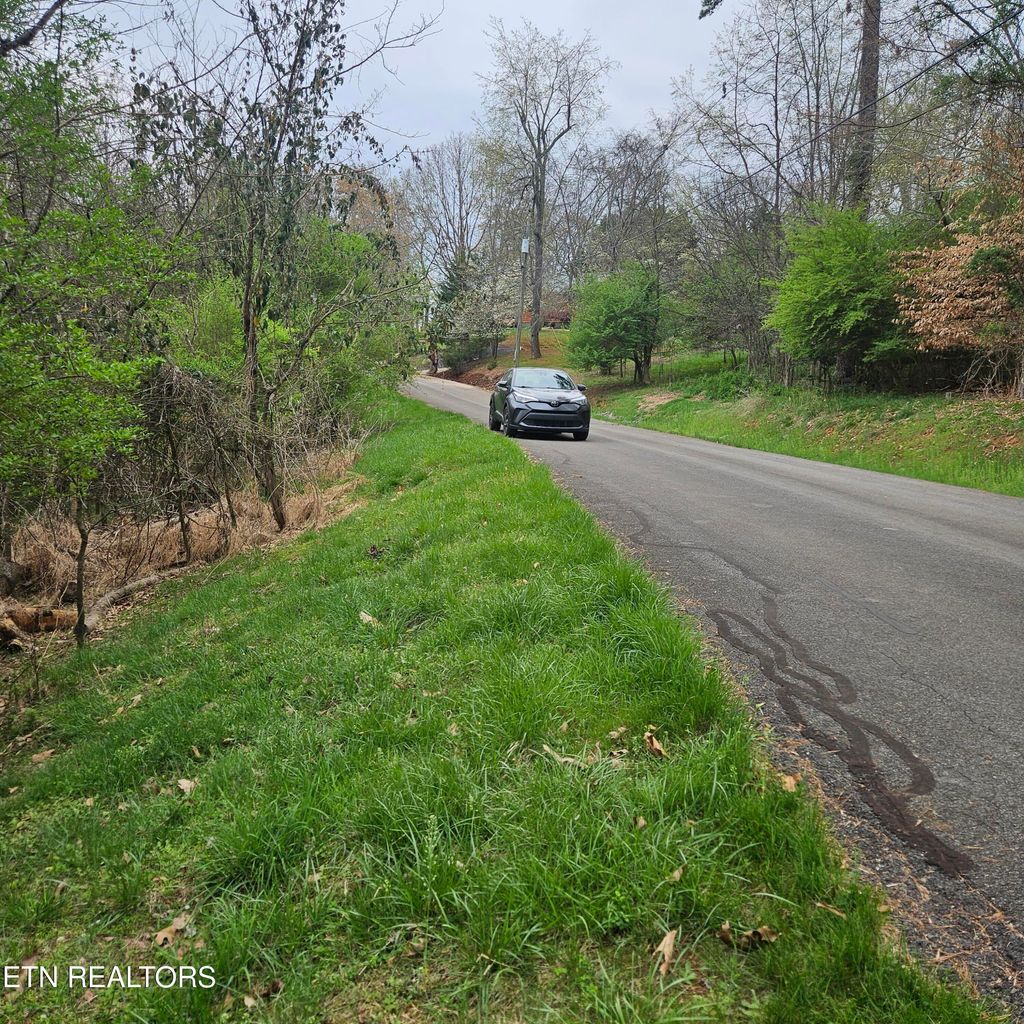 Photo of 1919 Chelaque Way, Mooresburg, TN 37811 (MLS # 1338615)