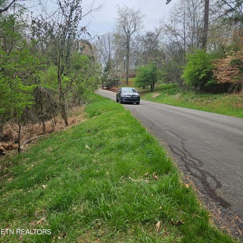 Tiny photo for 1919 Chelaque Way, Mooresburg, TN 37811 (MLS # 1338615)