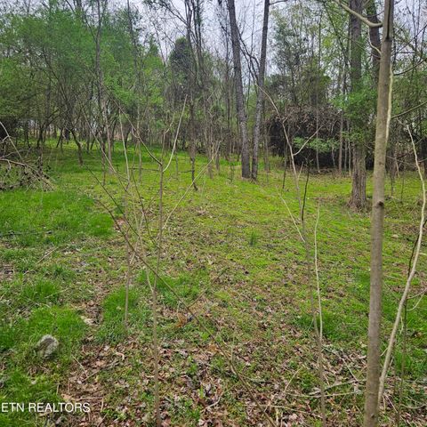 Photo of 1919 Chelaque Way, Mooresburg, TN 37811 (MLS # 1338615)