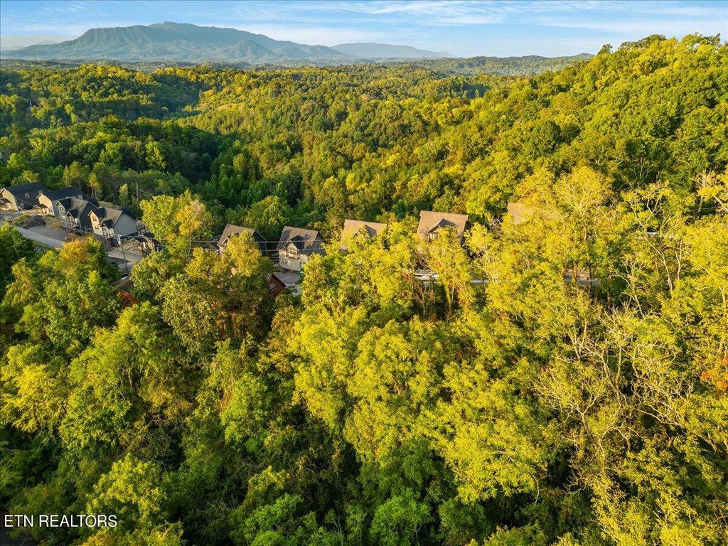 Photo of 144 Eagle Feather Drive, Sevierville, TN 37876 (MLS # 1332263)