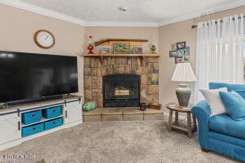 Tiny photo for 125 County Road 273, Niota, TN 37826 (MLS # 1338002)