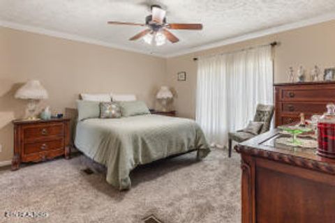 Tiny photo for 125 County Road 273, Niota, TN 37826 (MLS # 1338002)