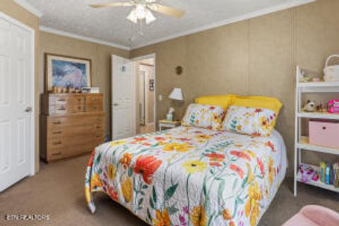 Tiny photo for 125 County Road 273, Niota, TN 37826 (MLS # 1338002)