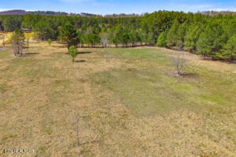 Tiny photo for 125 County Road 273, Niota, TN 37826 (MLS # 1338002)