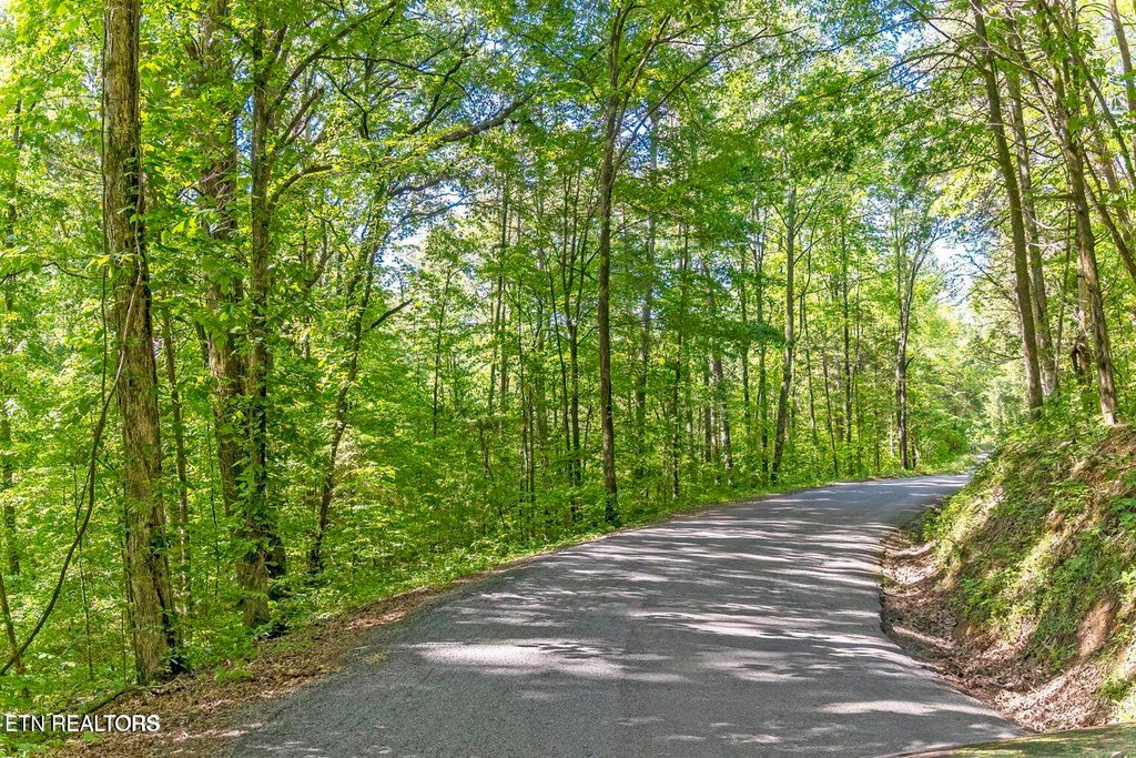 Photo of County Road 121, Athens, TN 37303 (MLS # 1328481)