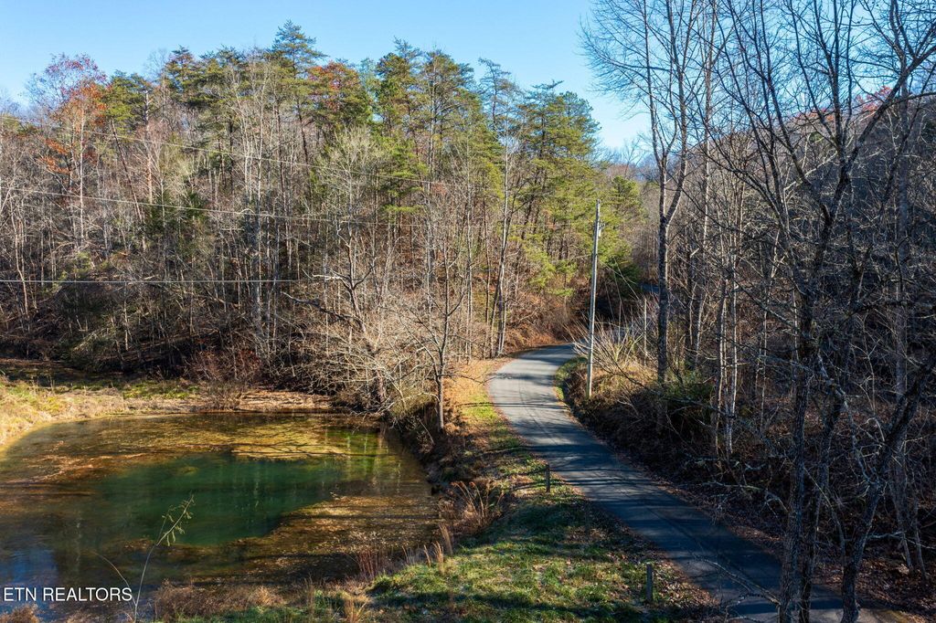 Photo of 24 Lakeshore Ave, Sevierville, TN 37876 (MLS # 1323534)