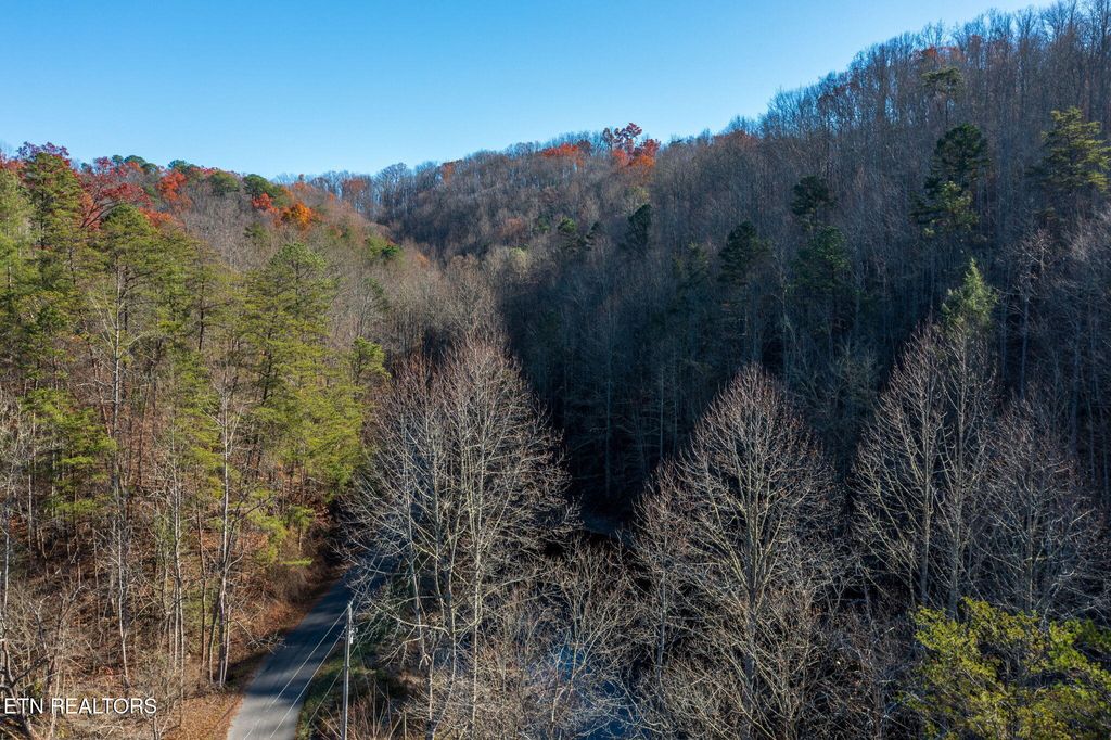 Photo of 24 Lakeshore Ave, Sevierville, TN 37876 (MLS # 1323534)