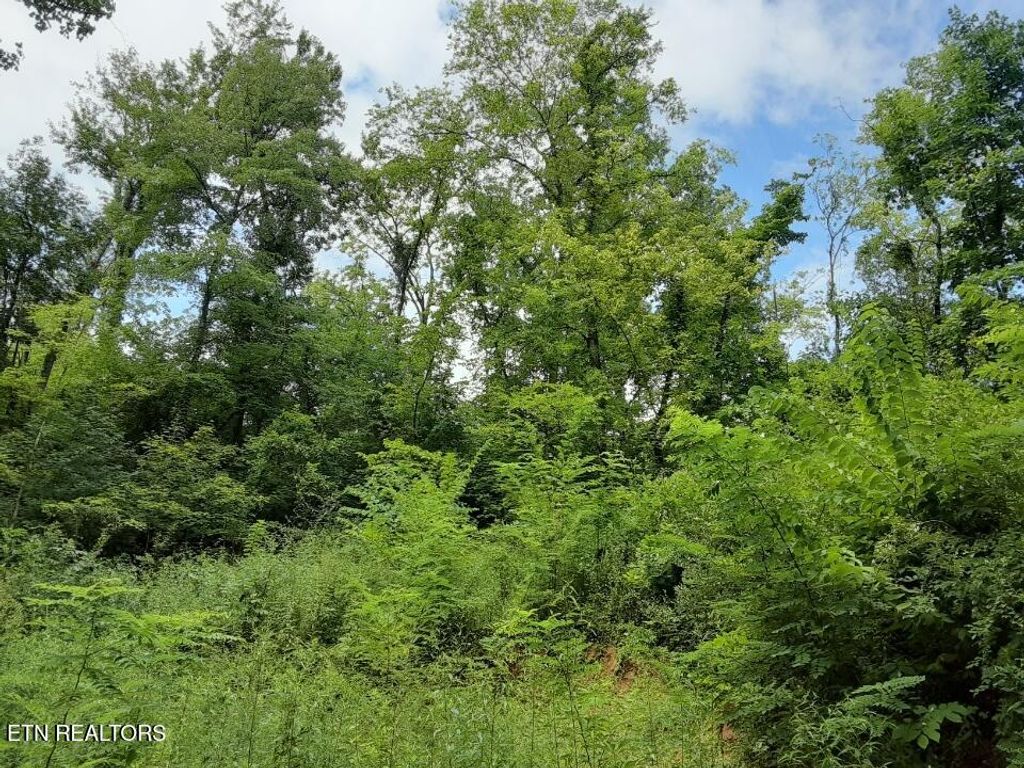 Photo of 2036 Ridge Rd #16, Pigeon Forge, TN 37863 (MLS # 1312008)