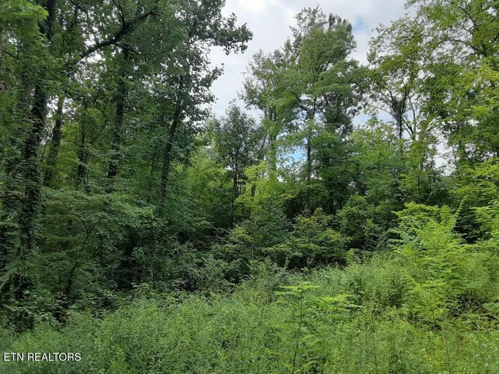 Photo of 2036 Ridge Rd #16, Pigeon Forge, TN 37863 (MLS # 1312008)