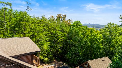 Tiny photo for 350 Big Bear Way, Pigeon Forge, TN 37863 (MLS # 1331288)