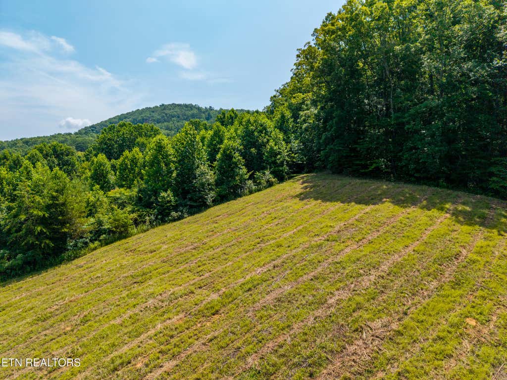 Photo of Hwy 68, Tellico Plains, TN 37385 (MLS # 1346647)