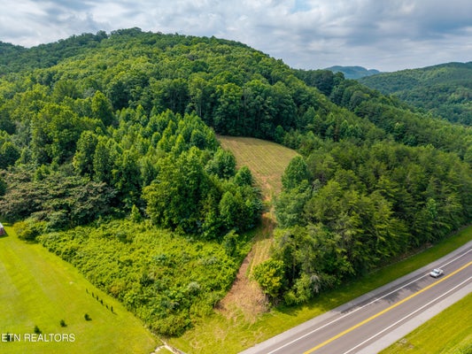 12 TELLICO ST, ENGLEWOOD, TN 37329 - Image bcfbe6eec65b7ecd631fb7596de22767/2232684888