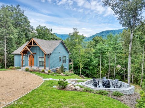 433 Laurel Rd Townsend TN 37882