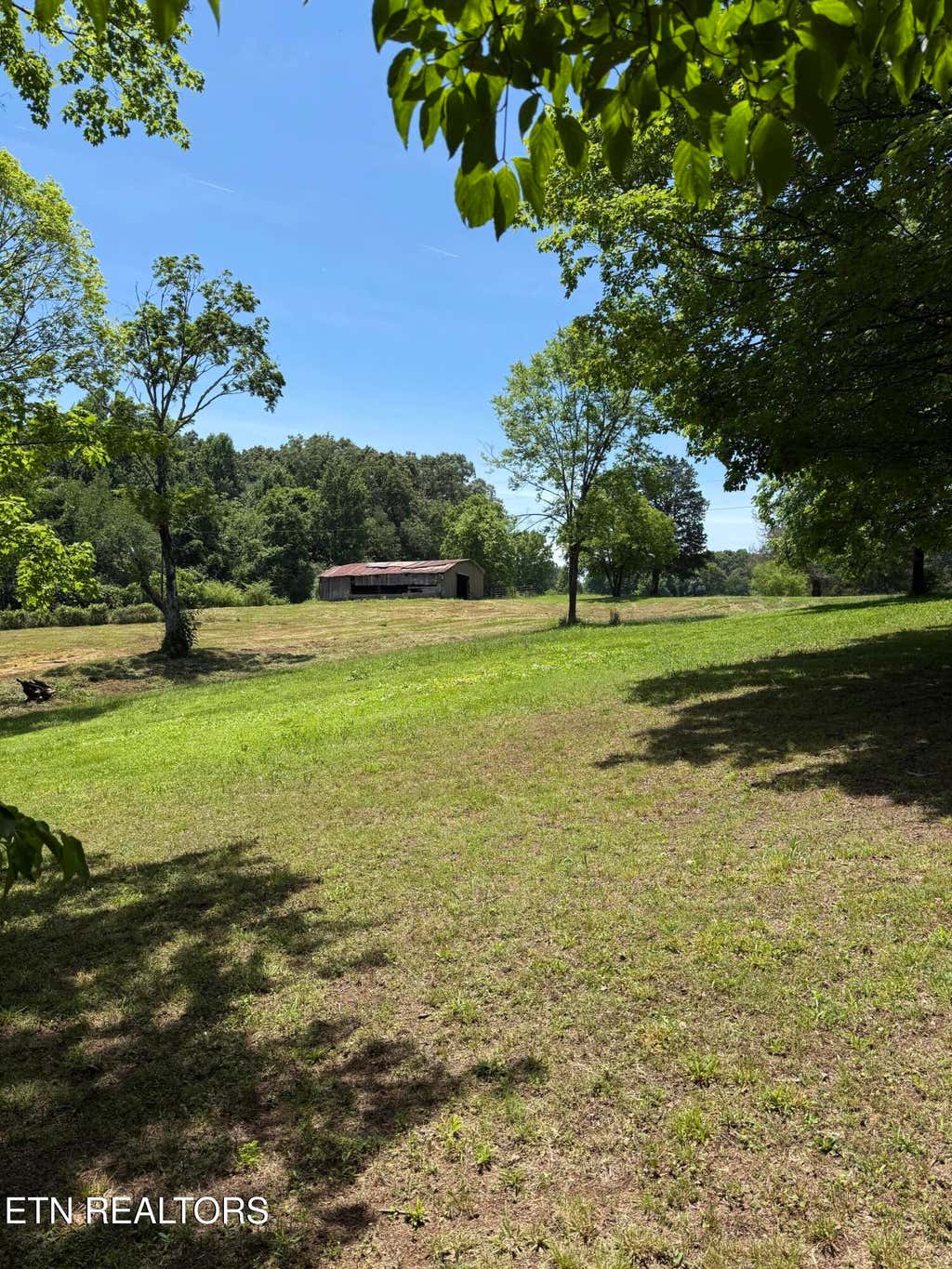 Photo of 422 County Road 728 (15 acres), Riceville, TN 37370 (MLS # 1343398)