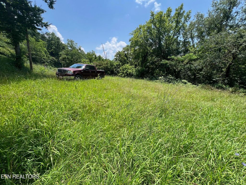 Photo of 626 Briceville Hwy, Rocky Top, TN 37769 (MLS # 1309909)