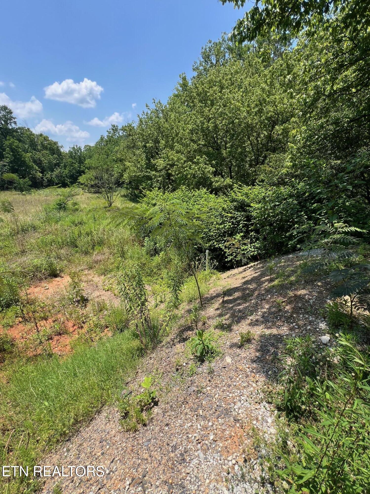 626 Briceville Hwy