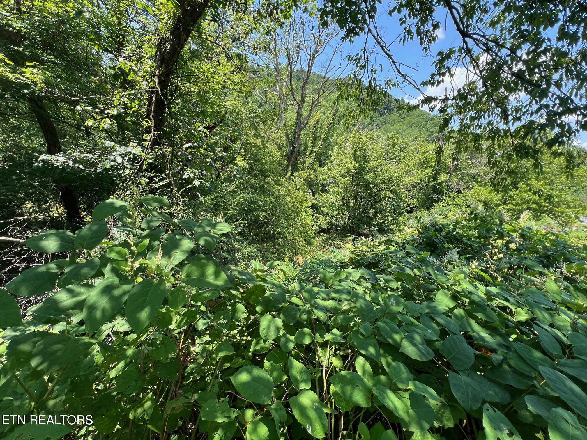 626 Briceville Hwy