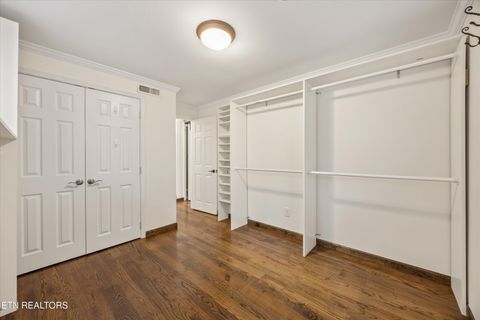 Tiny photo for 1608 Buckeye Rd, Knoxville, TN 37919 (MLS # 1335581)