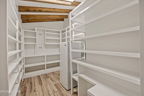 Tiny photo for 1608 Buckeye Rd, Knoxville, TN 37919 (MLS # 1335581)