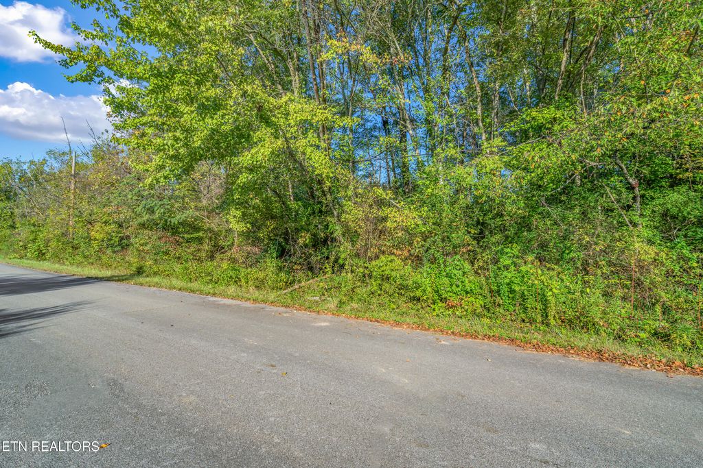 Photo of 0 Balboa Drive, Rockwood, TN 37854 (MLS # 1321178)