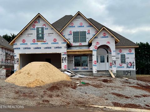 Photo of 8848 Dancing Bear Lane, Knoxville, TN 37923 (MLS # 1321668)