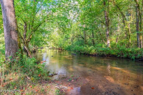 Tiny photo for 4969 Back Valley Rd, Speedwell, TN 37870 (MLS # 1316809)