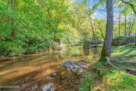 Tiny photo for 4969 Back Valley Rd, Speedwell, TN 37870 (MLS # 1316809)
