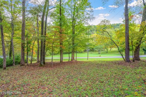 Tiny photo for 4969 Back Valley Rd, Speedwell, TN 37870 (MLS # 1316809)