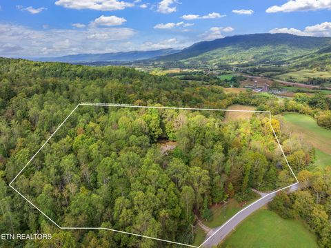 Tiny photo for 4969 Back Valley Rd, Speedwell, TN 37870 (MLS # 1316809)