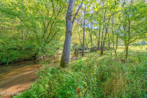Tiny photo for 4969 Back Valley Rd, Speedwell, TN 37870 (MLS # 1316809)