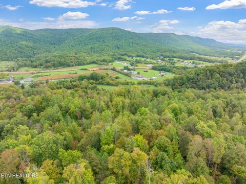 Tiny photo for 4969 Back Valley Rd, Speedwell, TN 37870 (MLS # 1316809)