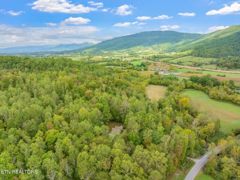 Tiny photo for 4969 Back Valley Rd, Speedwell, TN 37870 (MLS # 1316809)