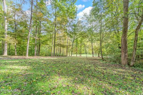 Tiny photo for 4969 Back Valley Rd, Speedwell, TN 37870 (MLS # 1316809)