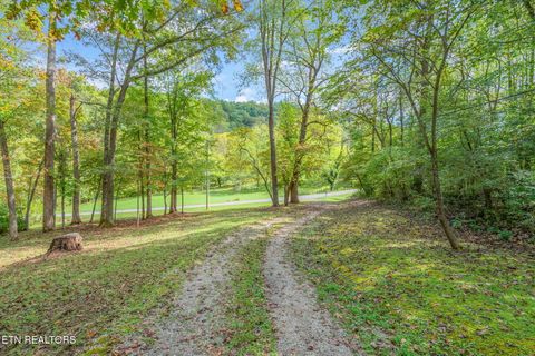 Tiny photo for 4969 Back Valley Rd, Speedwell, TN 37870 (MLS # 1316809)
