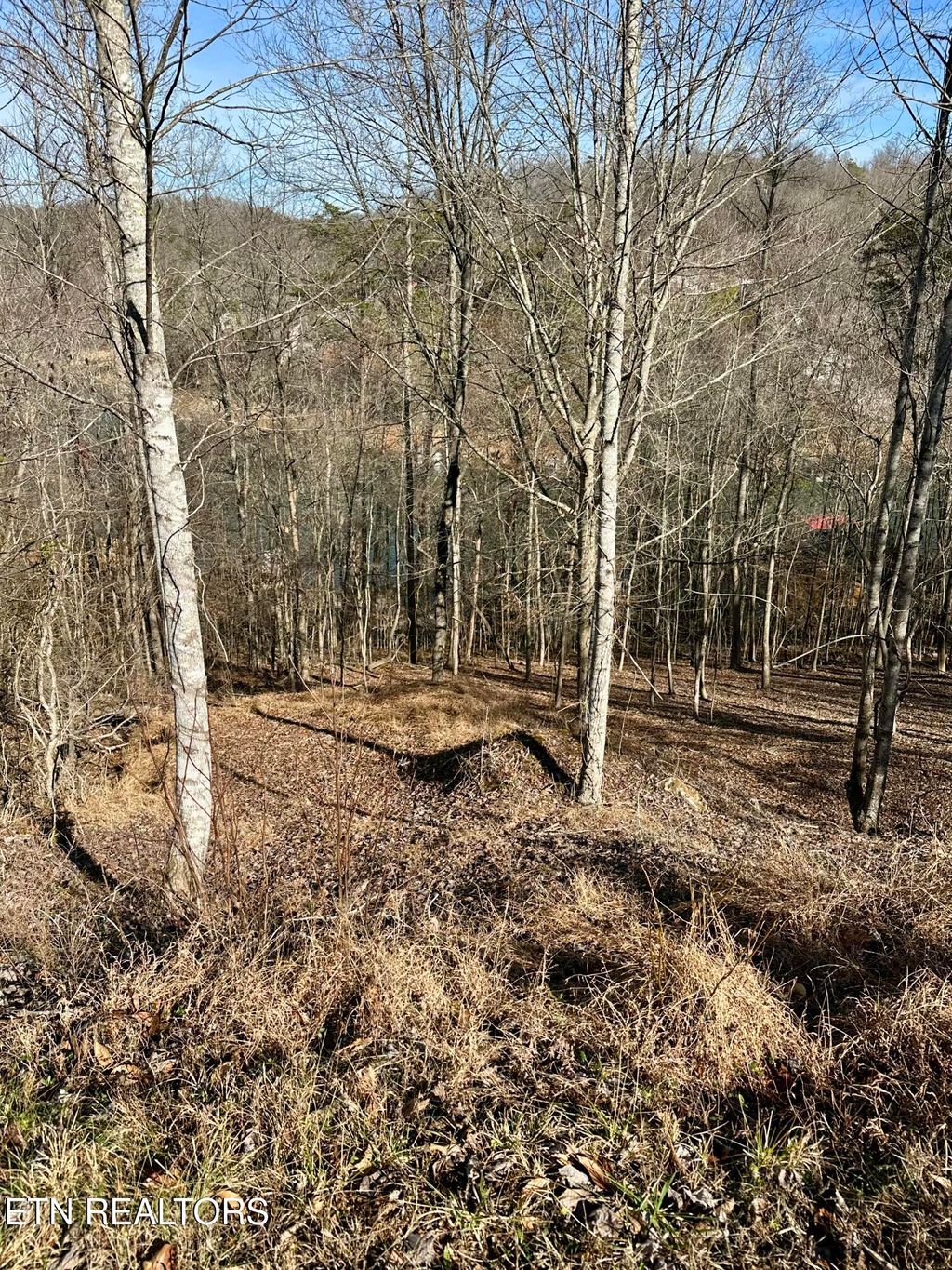 Photo of 113 Laurel Way, LaFollette, TN 37766 (MLS # 1300669)