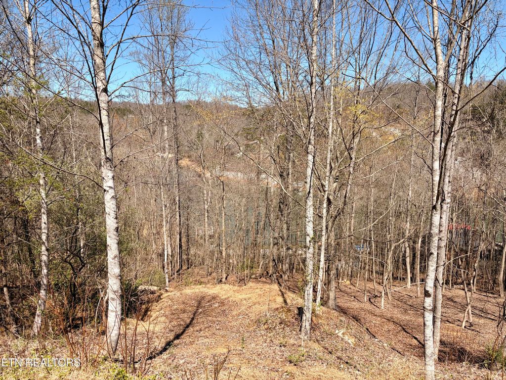 Photo of 113 Laurel Way, LaFollette, TN 37766 (MLS # 1300669)