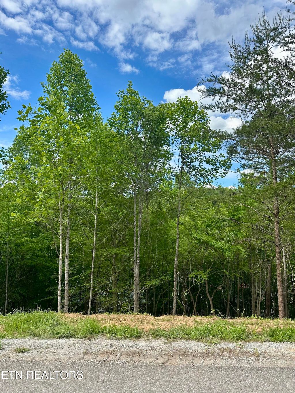 Photo of 113 Laurel Way, LaFollette, TN 37766 (MLS # 1300669)