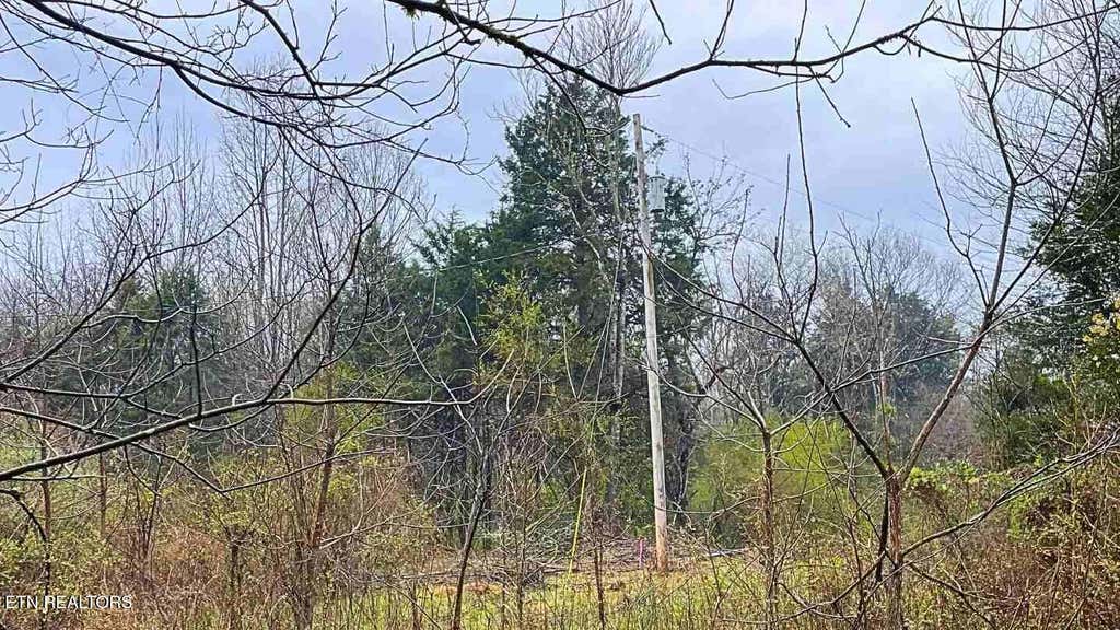 Photo of 1271 Sweetwater Rd, Newport, TN 37821 (MLS # 1314180)